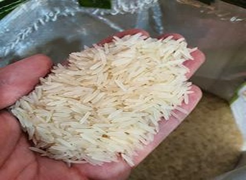 قیمت خرید برنج هندی 1121 باسماتی با فروش عمده